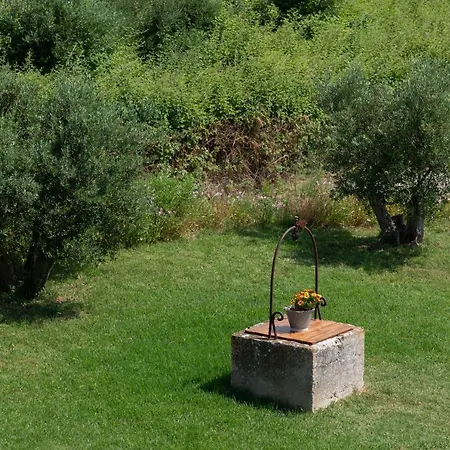 公寓 Casa Di Colona - κίτρινο 里科索翁